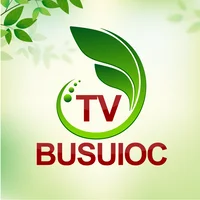 Busuioc Tv